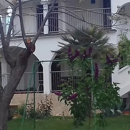 Apartman Pavlovic *